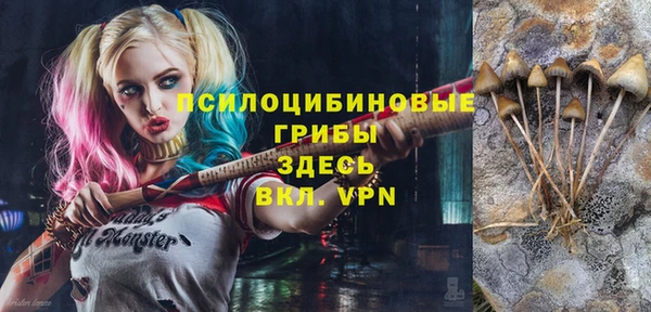 гашик Кукмор