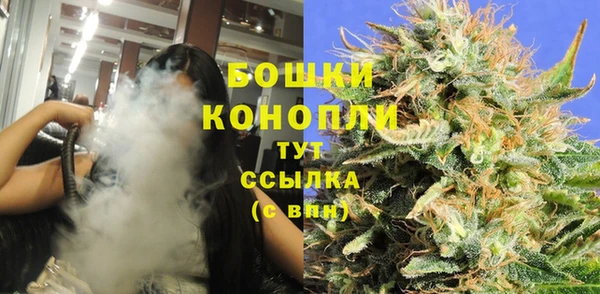 бошки Лагань