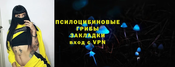 бошки Лагань