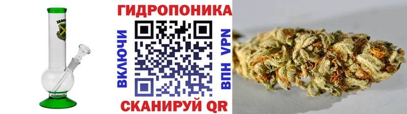 Бошки марихуана планчик  Лебедянь 